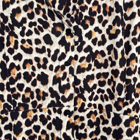ZARA Animal Print Dress - Picture 6 of 8